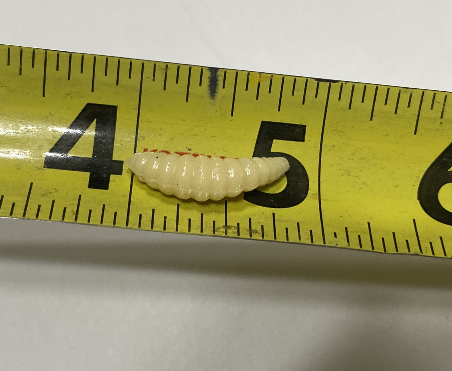 100x .875'' Soft Plastic Ice Fishing Lure Maggot Bait for Panfish