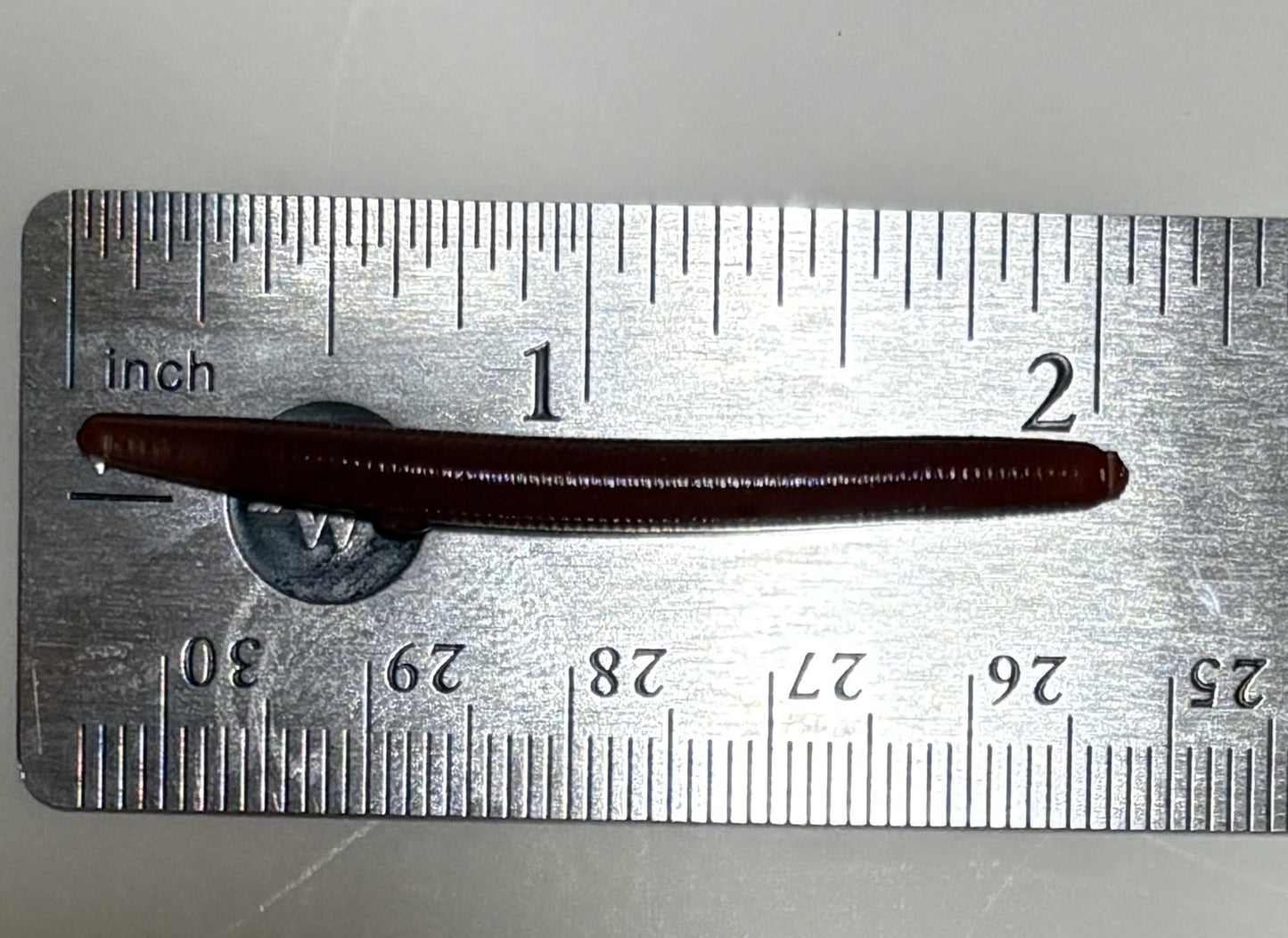2" soft plastic night crawler worm
